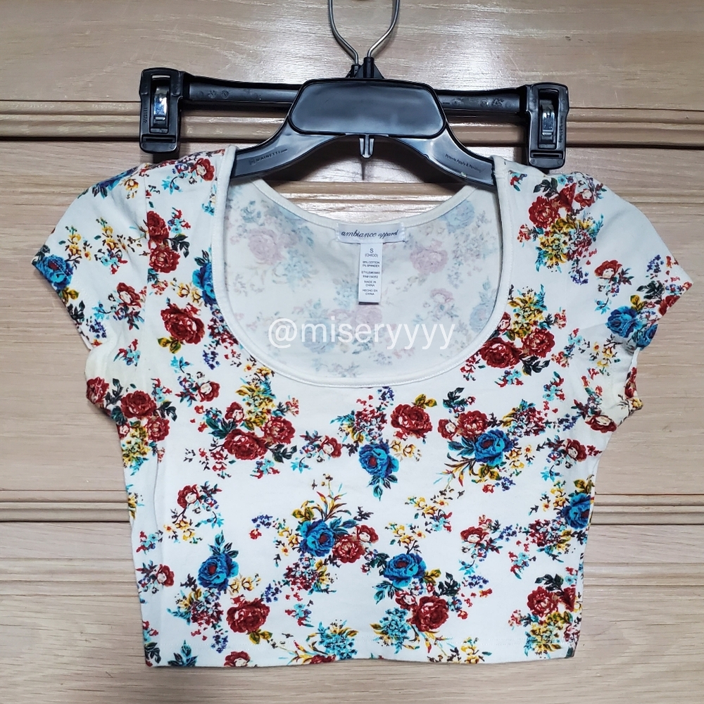 Crop Top (Worn)